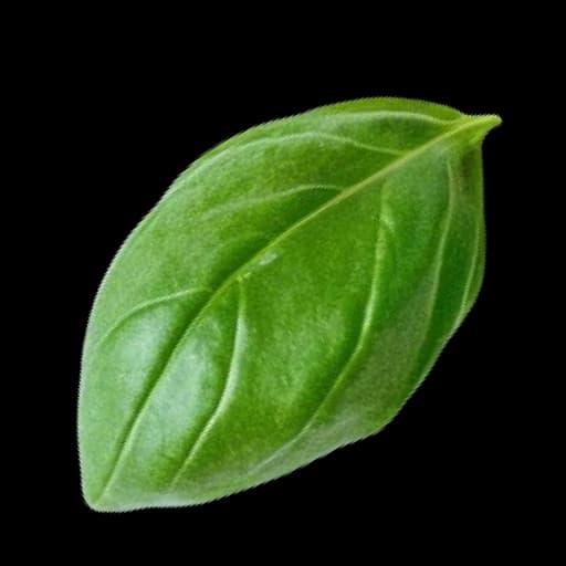 Vegetable