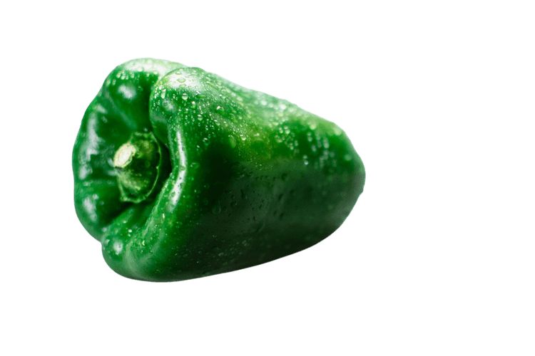 Vegetable
