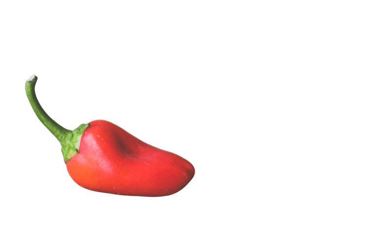 Vegetable